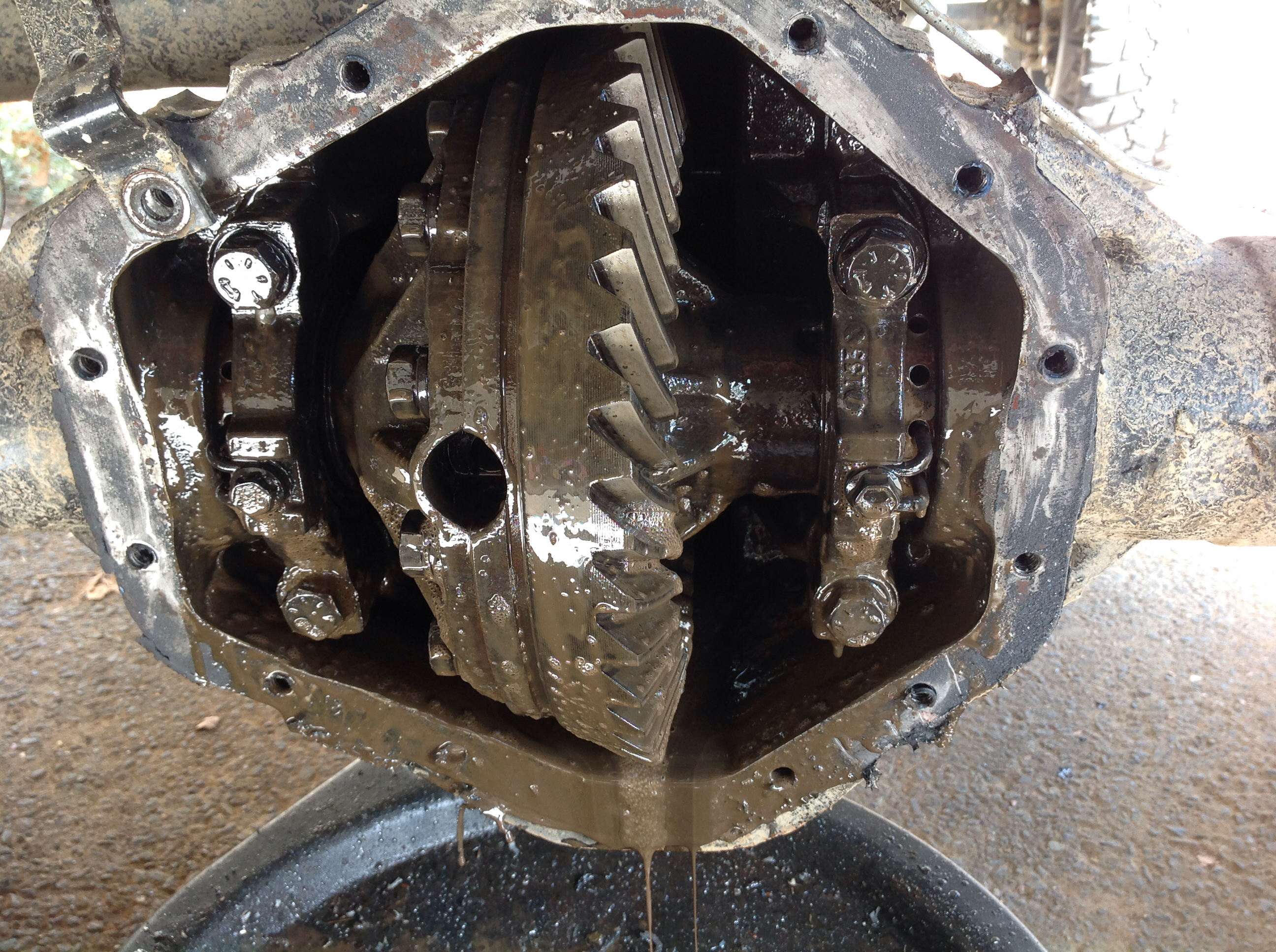 Name:  72176358ab401565e31ce2a6a796351e_zps41159c78.jpg
Views: 143
Size:  4.74 MB