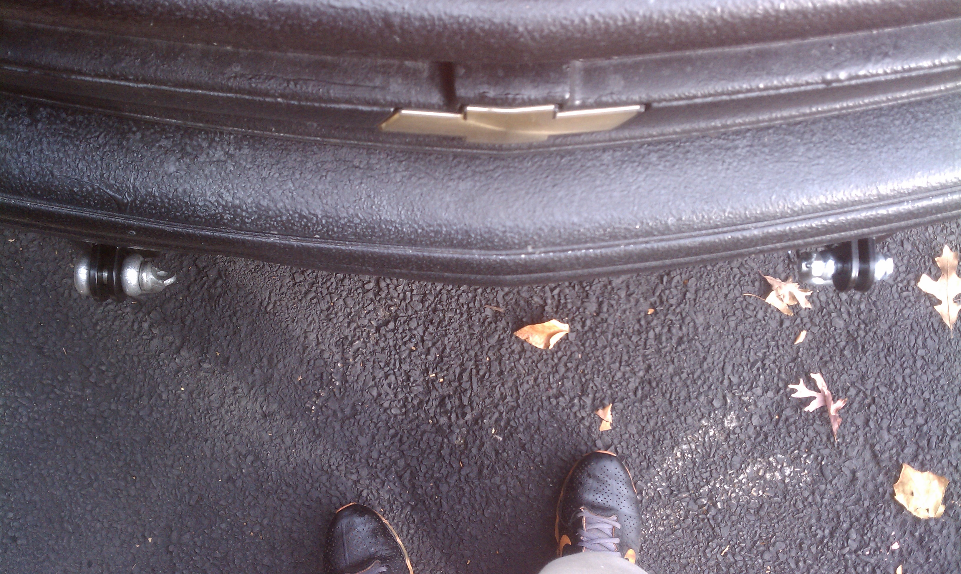 Name:  IMAG1338.jpg
Views: 395
Size:  1.65 MB