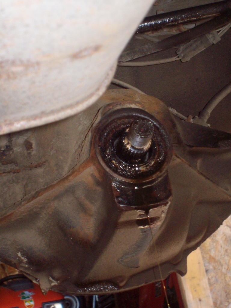 Name:  PICT1928.jpg
Views: 54
Size:  212.4 KB