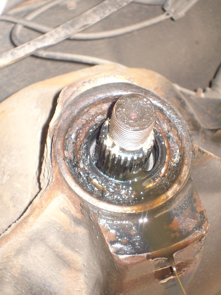 Name:  PICT1930.jpg
Views: 54
Size:  229.5 KB