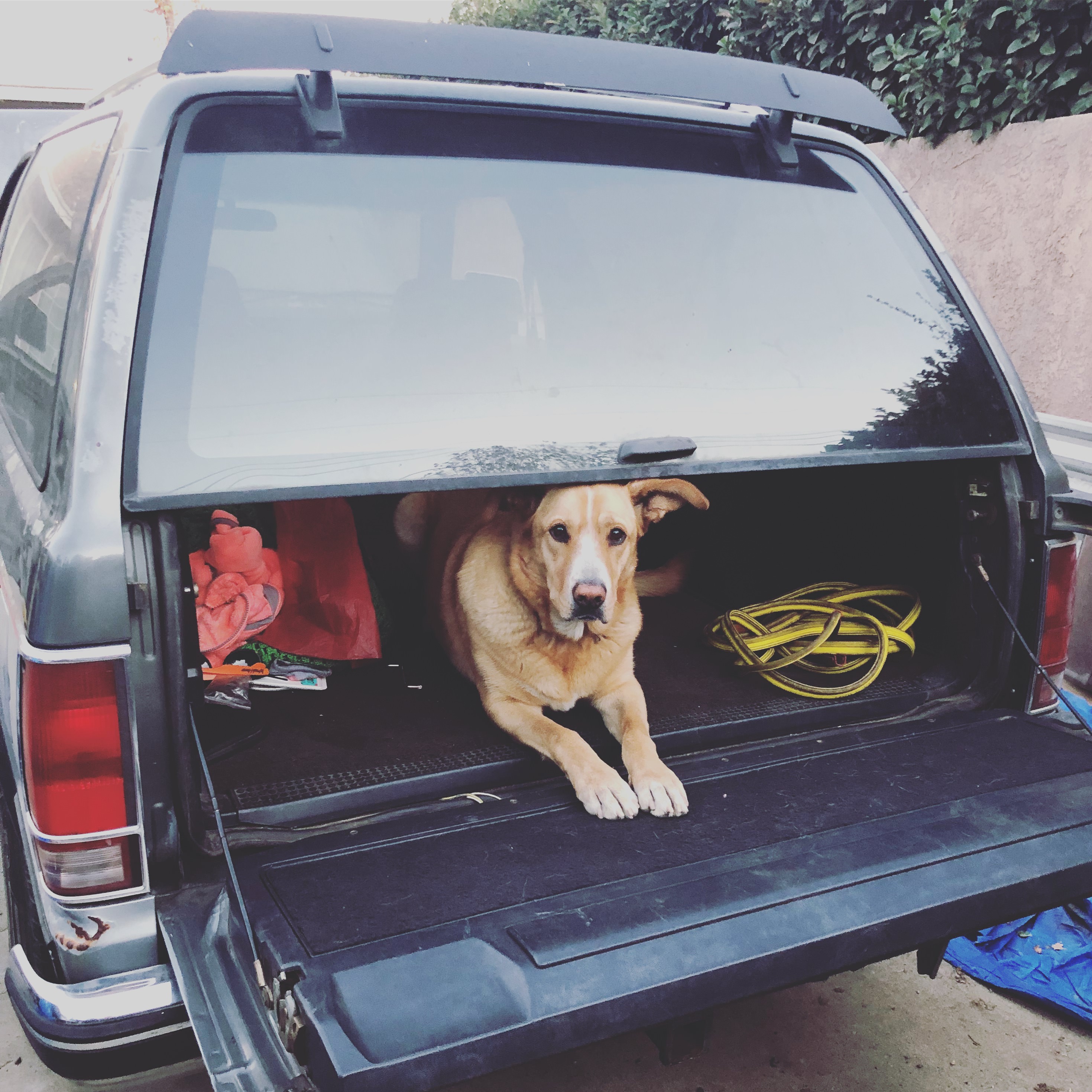 Name: Q3uWSXE.jpg
Views: 145
Size: 1.19 MB