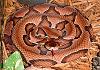 I would greatly appreciate help with a sig.-copperheadsnake_zps7be1472c.jpg