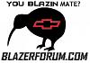 BlazerForum.com Decals-11971203731299323252flomar_kiwi_-bird-_svg_med.jpg