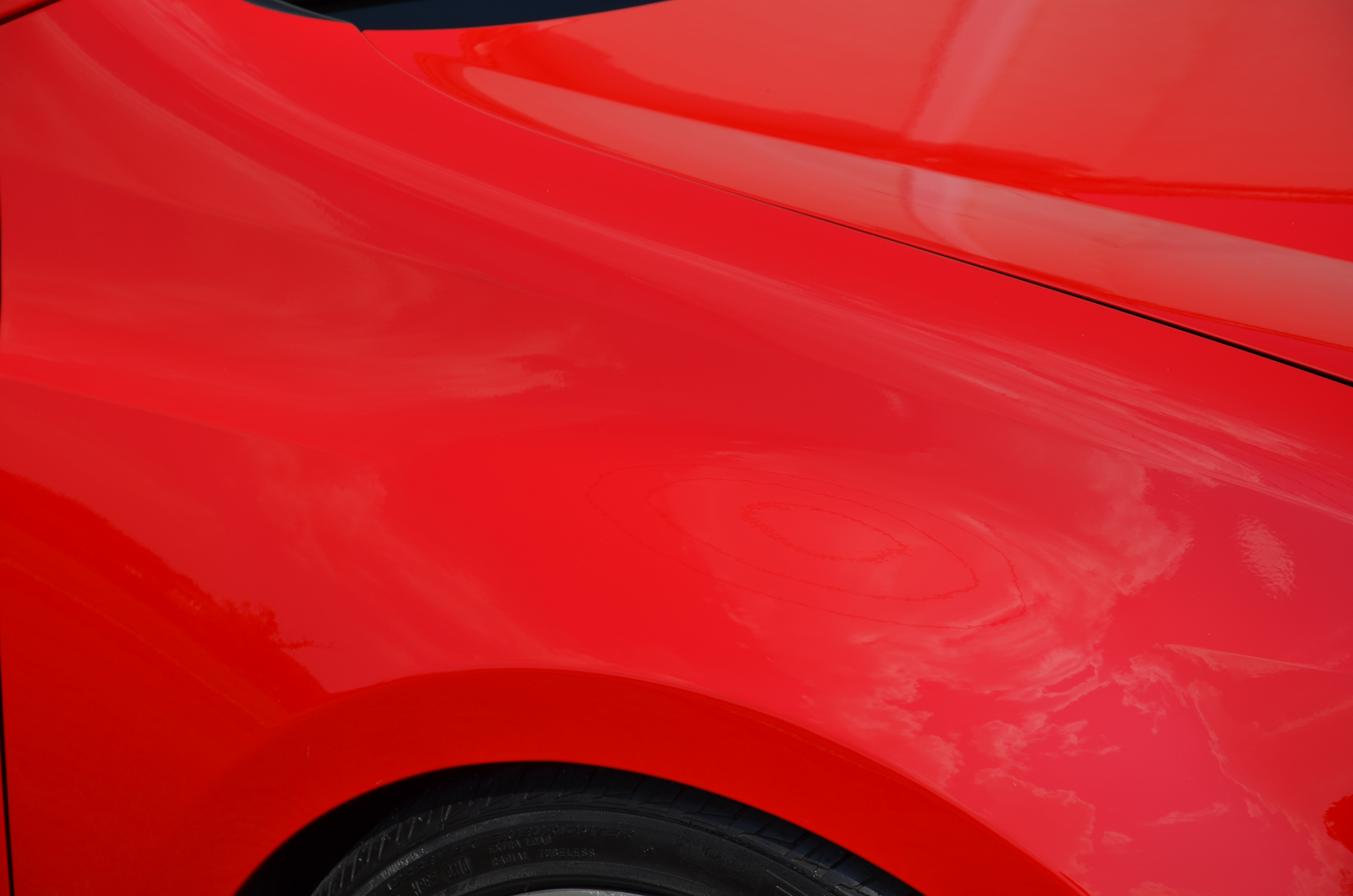 Name:  DSC_1081.jpg
Views: 76
Size:  4.64 MB