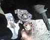 Changin Ball Joint. any tips?-120813_0001.jpg