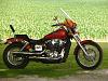 I need advice on a motorcycle.-motorcycle1.jpg