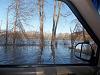 Checking out the flooding Pics-100_0515.jpg