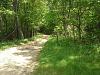 stoney run-20130601_133415.jpg