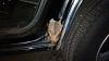 rust hole in rear passenger door into wheel well-ncm_0102.jpg