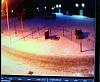 playing in the snow. got caught on security cam-th_20130122_083447.jpg