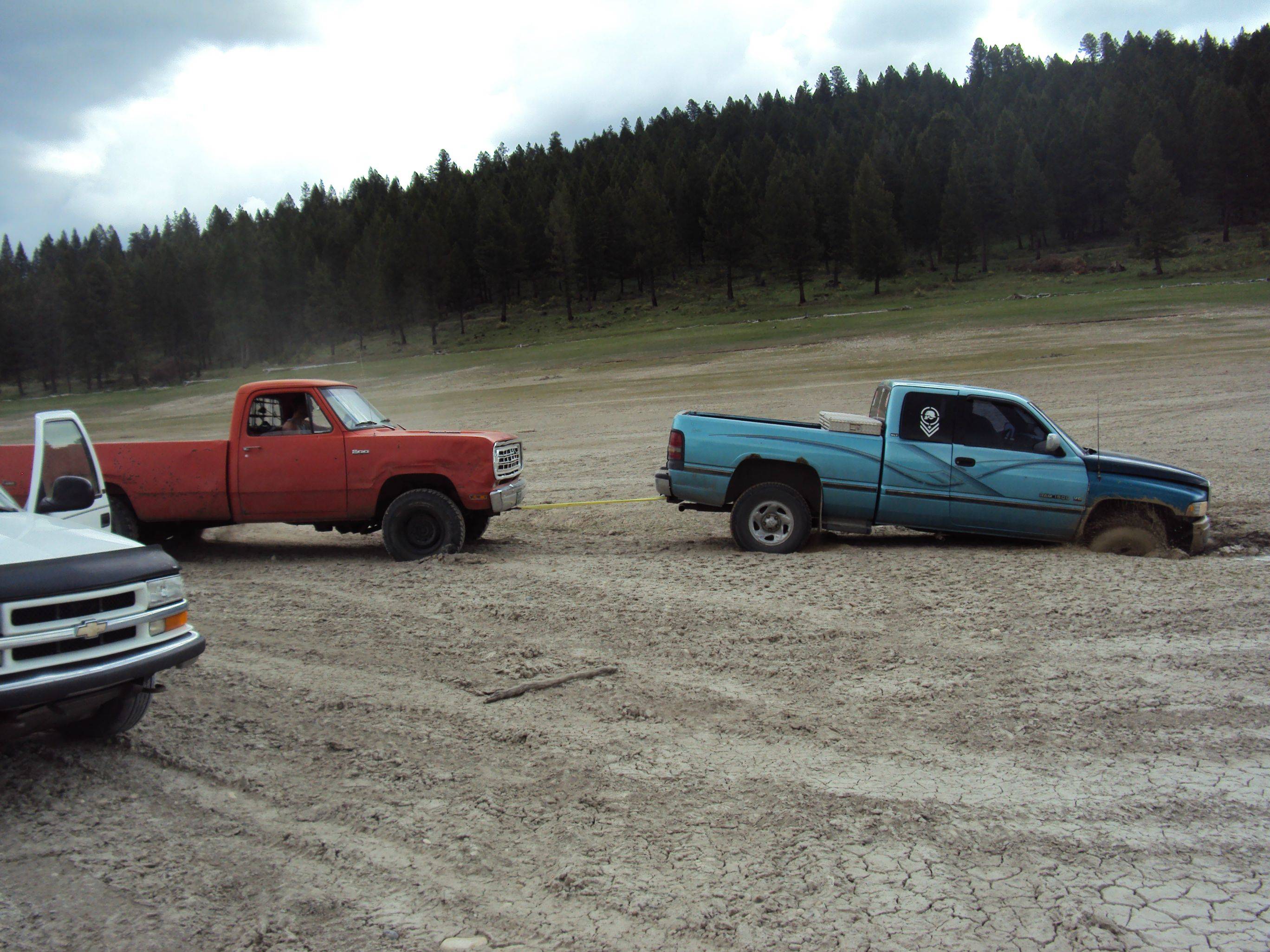 Name:  gPhEevd.jpg
Views: 22
Size:  641.5 KB