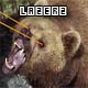 Lazer Bear's Avatar